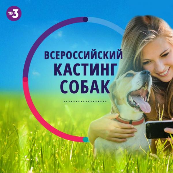 Кемеровчан приглашают показать всему миру своих собак: на ТВ-3 стартовал кастинг в дог-шоу «Лучший пёс»