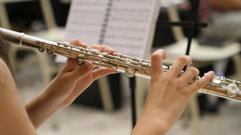 В Подмосковье начинают работать музыкальные школы для взрослых