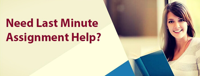 GotoAssignmentHelp Presents Premium Quality Maths homework help and Case study help