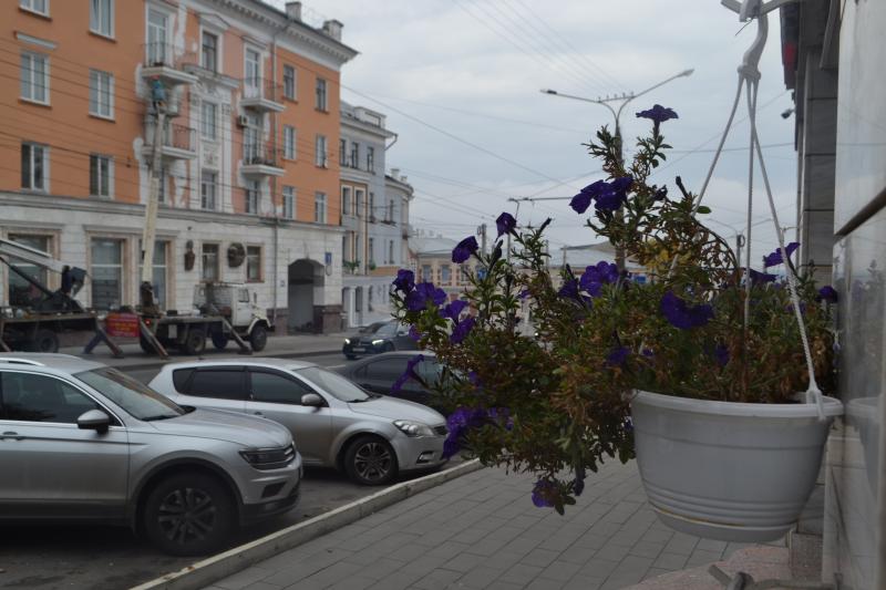 аррбаты че театр кафе пложади порт лебеди банки девуушки