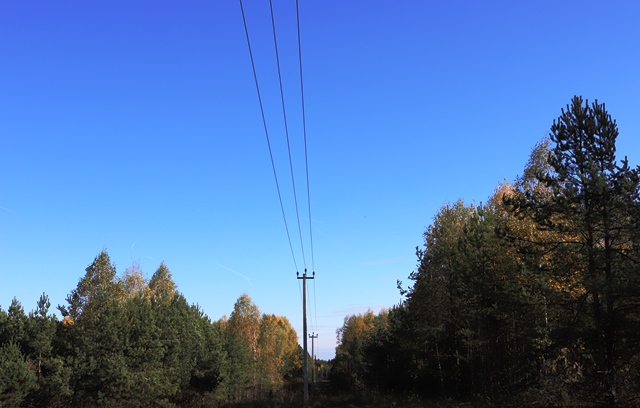 Муромский РЭС повышает надёжность электроснабжения потребителей района