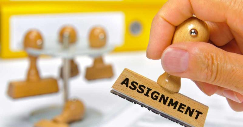 Assistance with Your Statistics Assignment
