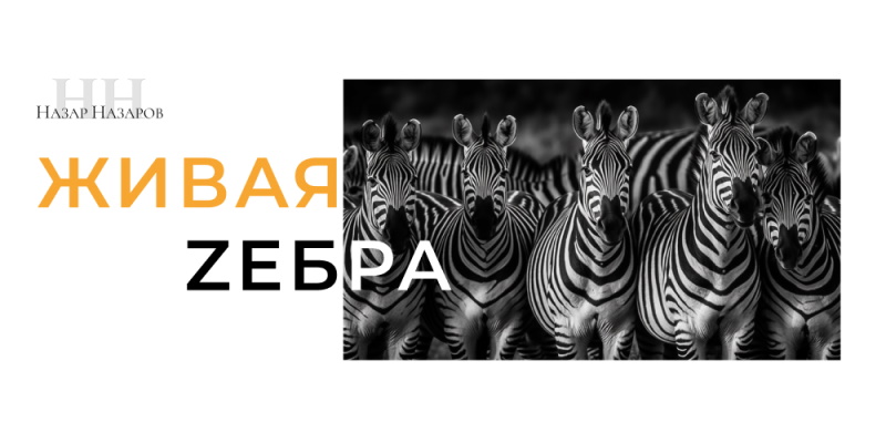 Дети из детских домов бесплатно посетят Московский зоопарк