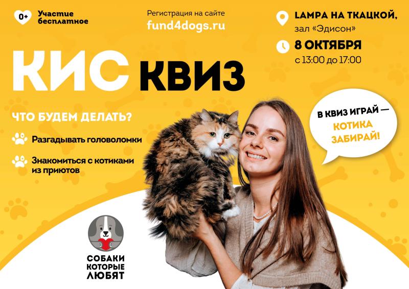 Поиск нового дома для котиков и интеллектуальные развлечения: мероприятие «КисКвиз» 8 октября от благотворительного фонда «Собаки, которые любят»