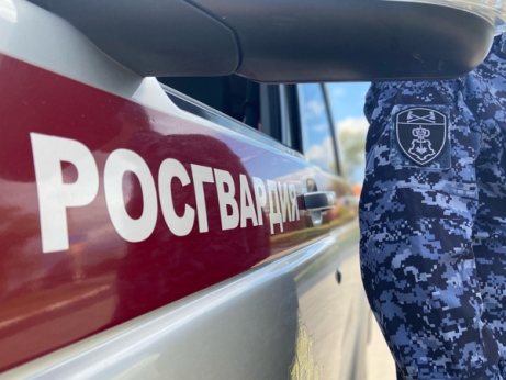 В Димитровграде сотрудники Росгвардии задержали нетрезвого водителя