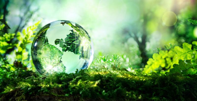 Фонд «Экология» РСХБ рассказал костромичам, как провести майские праздники без вреда для экологии