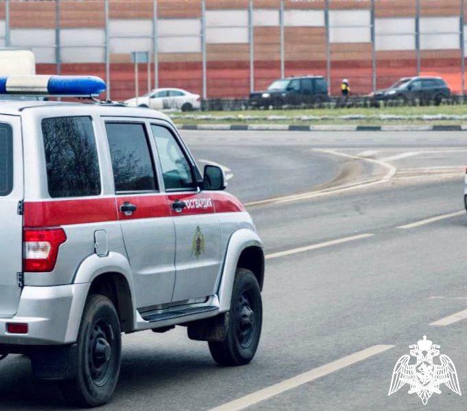 В Щелково сотрудники Росгвардии задержали подозреваемую в краже косметической продукции