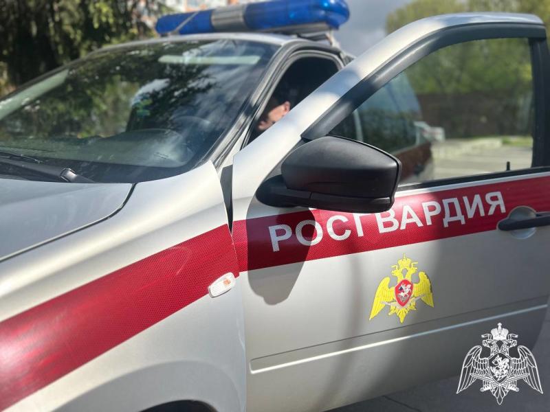 ЗАКОН И ПОРЯДОК