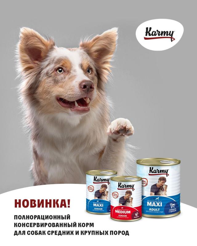 На маркетплейсах стала доступна новая линейка кормов для собак