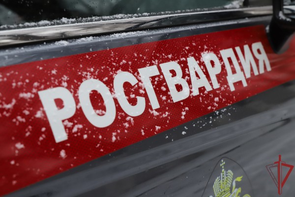 Итоги в цифрах