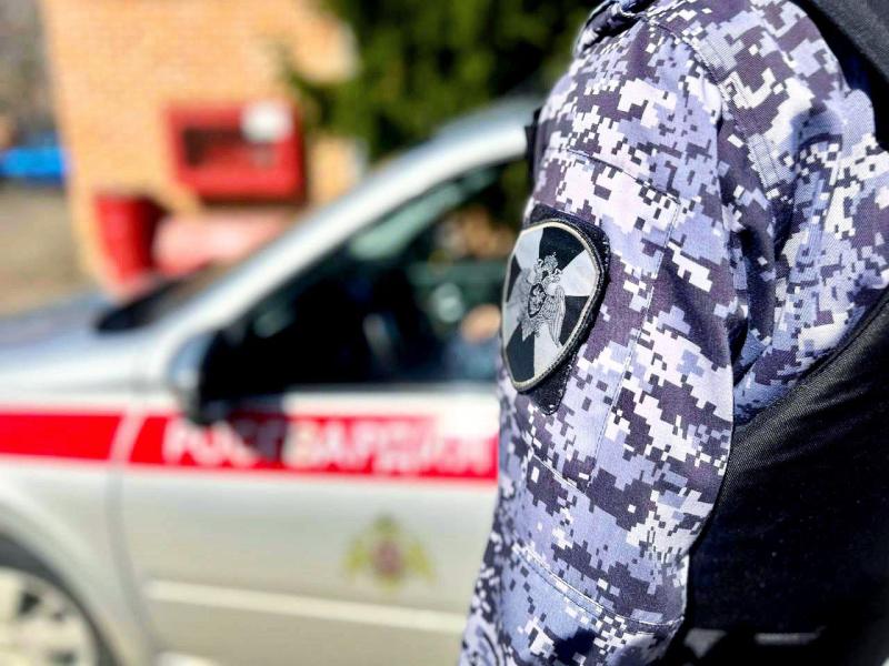 В Московской области росгвардейцы задержали гражданина, находившегося в федеральном розыске