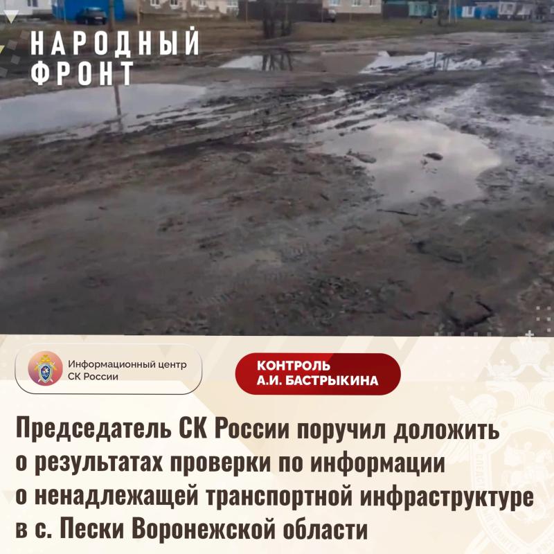 Александр Бастрыкин подключился к решению дорожной проблемы в поворинском селе Пески