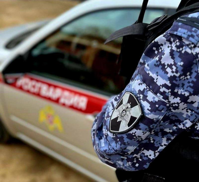 Сотрудники Росгвардии задержали подозреваемого в краже в Подмосковье