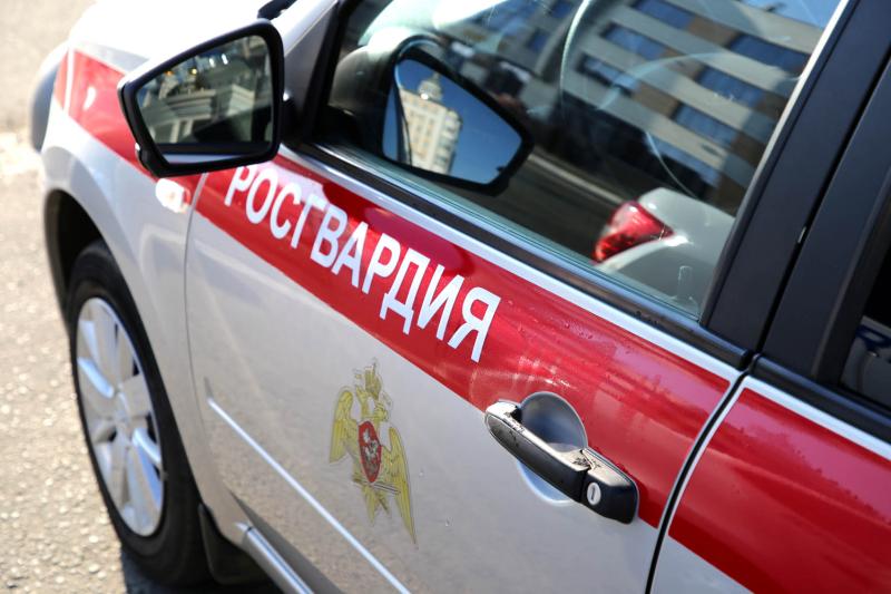 Мордовии экипаж Росгвардии задержал очередного похитителя товаров