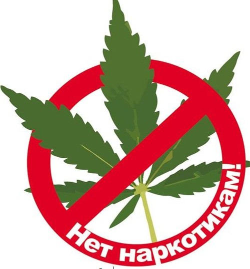 Местный житель осужден к длительному лишению свободы за покушение на незаконный сбыт наркотических средств