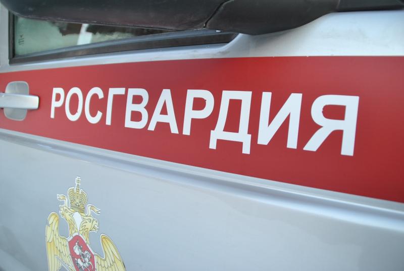 В Управлении вневедомственной охраны по Кировской области состоялась прямая телефонная линия, посвященная приему на службу и поступлению в ведомственные вузы