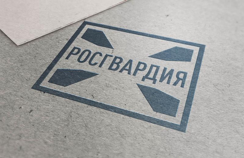 В Управлении Росгвардии по Республике Мордовия подведены итоги служебно-боевой деятельности за полугодие