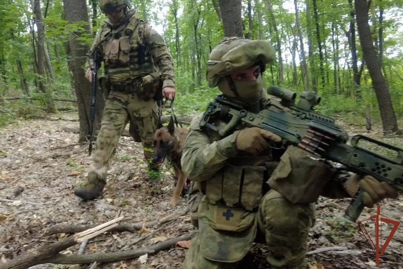 В ДНР росгвардейцы обнаружили схроны с боеприпасами ВСУ