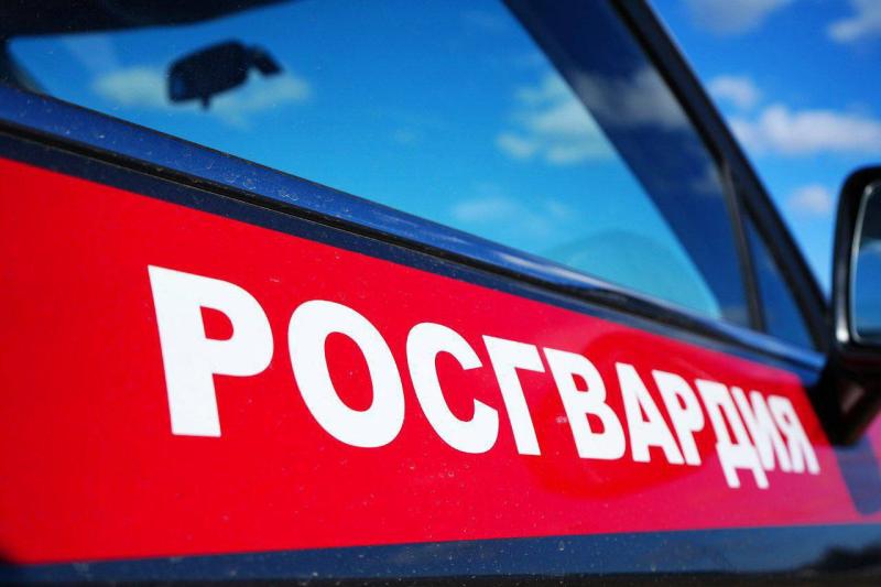 В Подмосковье сотрудники Росгвардии задержали подозреваемого в краже из  гипермаркета