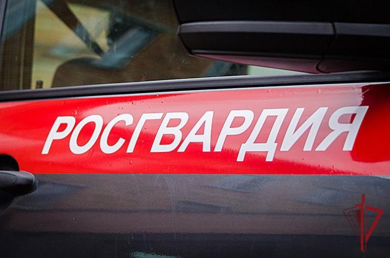 Сотрудники подразделений лицензионно-разрешительной работы Росгвардии изъяли 79 единиц оружия