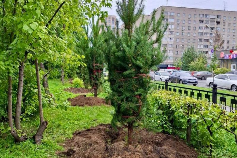 В Центральном парке Новосибирска высадят почти две тысячи саженцев