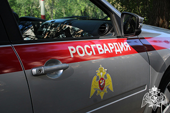 В Димитровграде росгвардейцы задержали подозреваемых за кражу из супермаркета