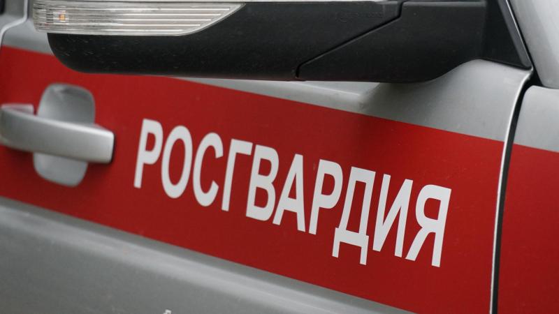 Сотрудники Росгвардии пресекли хулиганство и задержали нарушителей общественного порядка