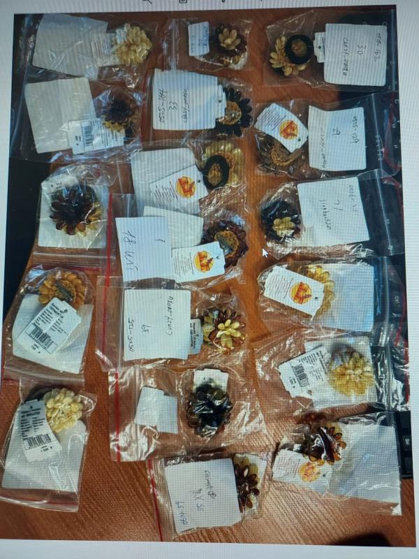 в Москве за контрабанду в г. Пекин ювелирных изделий из янтаря осужден студент из КНР