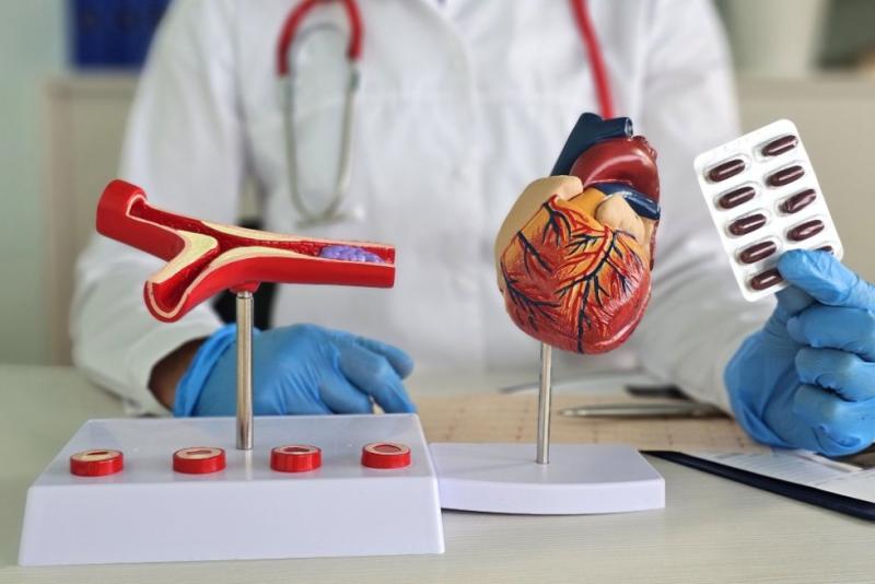 Опасный холестерин: как защитить россиян от инфарктов и инсультов?