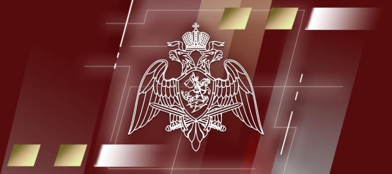 Директор Росгвардии Герой России генерал армии Виктор Золотов принял участие в оперативном совещании Совета Безопасности