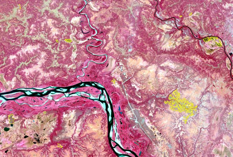 Молодым лесам быть!