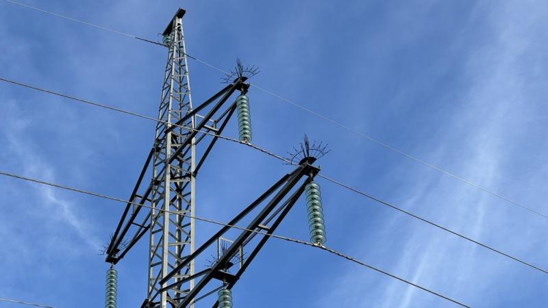 «Россети Кубань» установили более 400 птицезащитных устройств на ЛЭП в юго-западных районах Краснодарского края