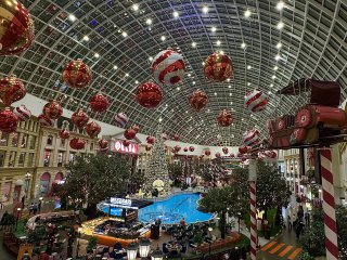 «Остров Мечты» к празднику готов: 450 новогодних ёлок, парящие шары и волшебные инсталляции