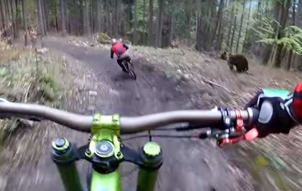 Видео гонки медведя за велосипедистом «взорвало» Сеть